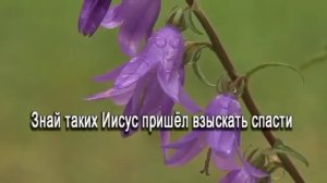 Иисуса ты впусти