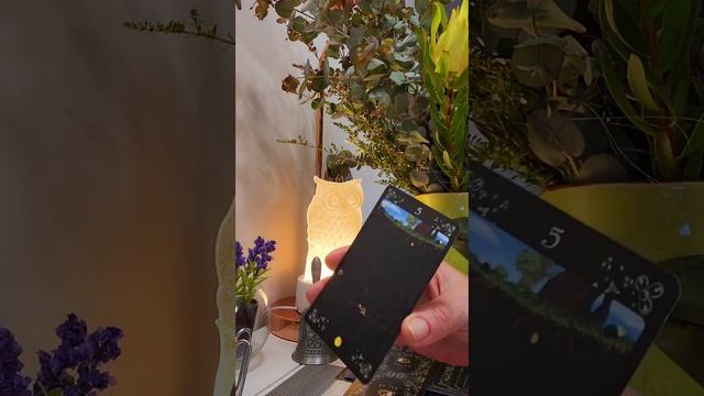 26 июля Среда, день Меркурия, цвет зелёный! События, совет Таро!