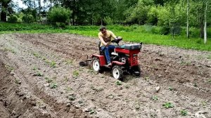 Агромаш МТ-110 первое окучивание картофеля