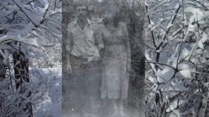 В ДОМЕ МОЁМ БЕЗ ТЕПЛА ТВОЕГО ЗИМА.