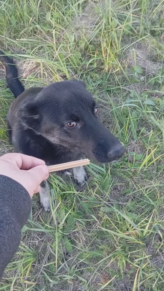 06-11-2024 смотреть онлайн