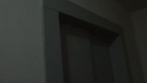 Электрические лифты V=1,6 м-с, грузоподъемность 400, 630 кг (1929), музыкальный лифт ЩЛЗ Ecomaks