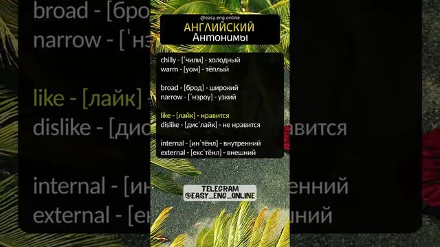 🗣️🇬🇧 АНГЛИЙСКИЙ С НУЛЯ ДЛЯ НАЧИНАЮЩИХ 💢 Самые необходимые английские слова