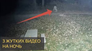 3 жутких видео на ночь