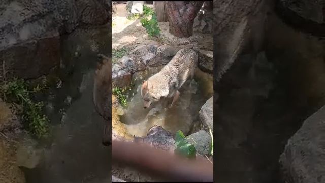 Время купания
