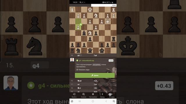 Лучшая шахматная партия в уходящем году