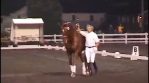 Jean Luc Cornille and Lafayette II at Devon Horse Show