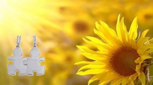 Les moulins de mon coeur - imagé