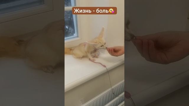 У кого так было в жизни?