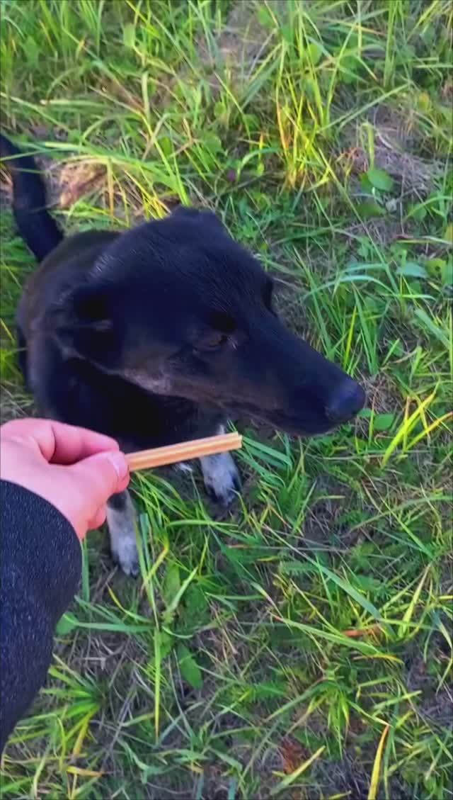 06-11-2024 смотреть онлайн