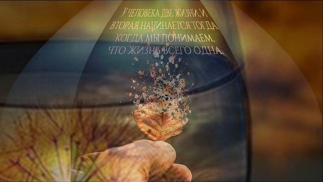 ЧАША ЖИЗНИ смотреть онлайн