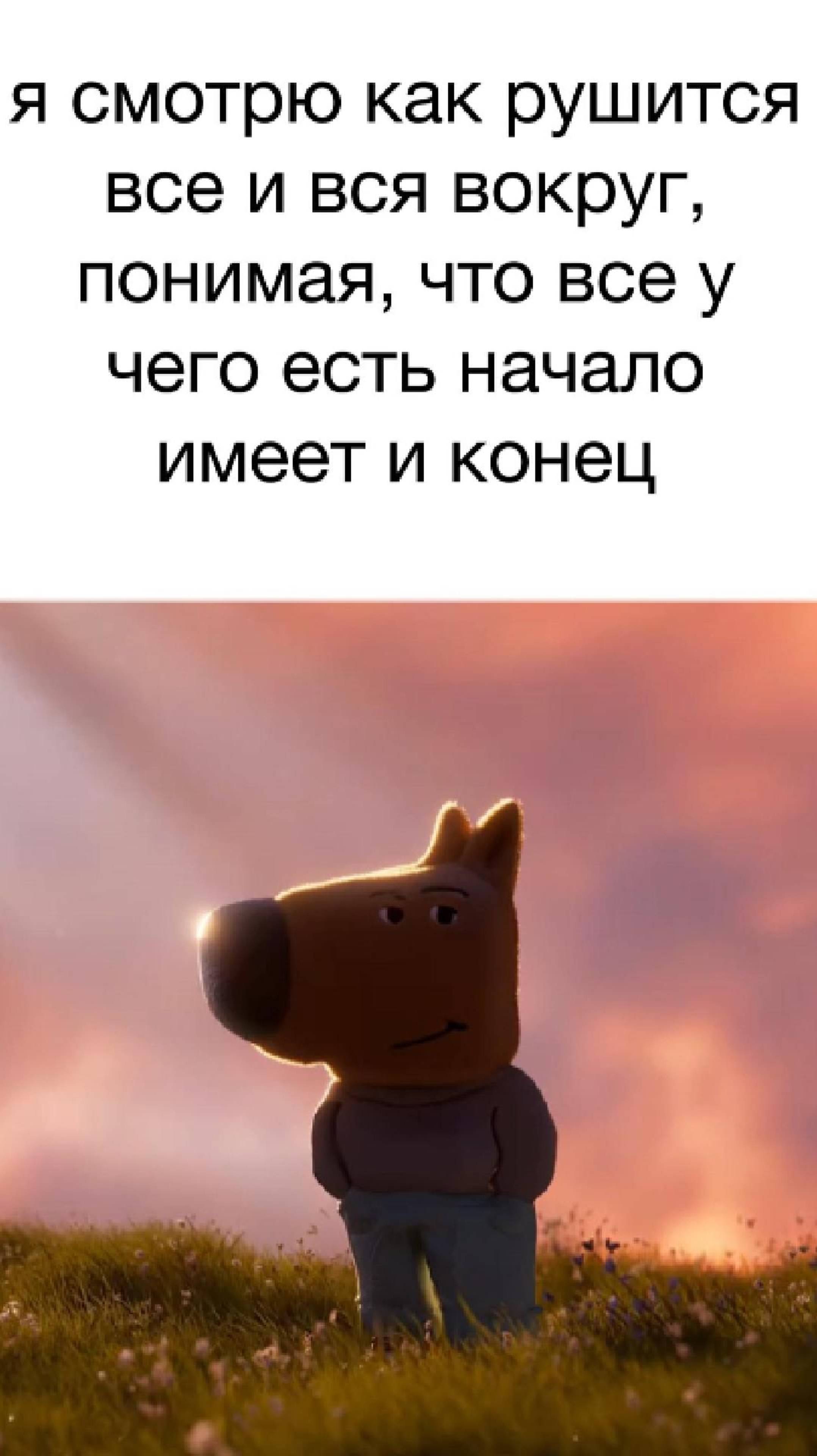 Когда ты chill guy, а вокруг все рушится