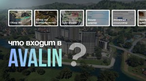 Что входит в AVALIN?