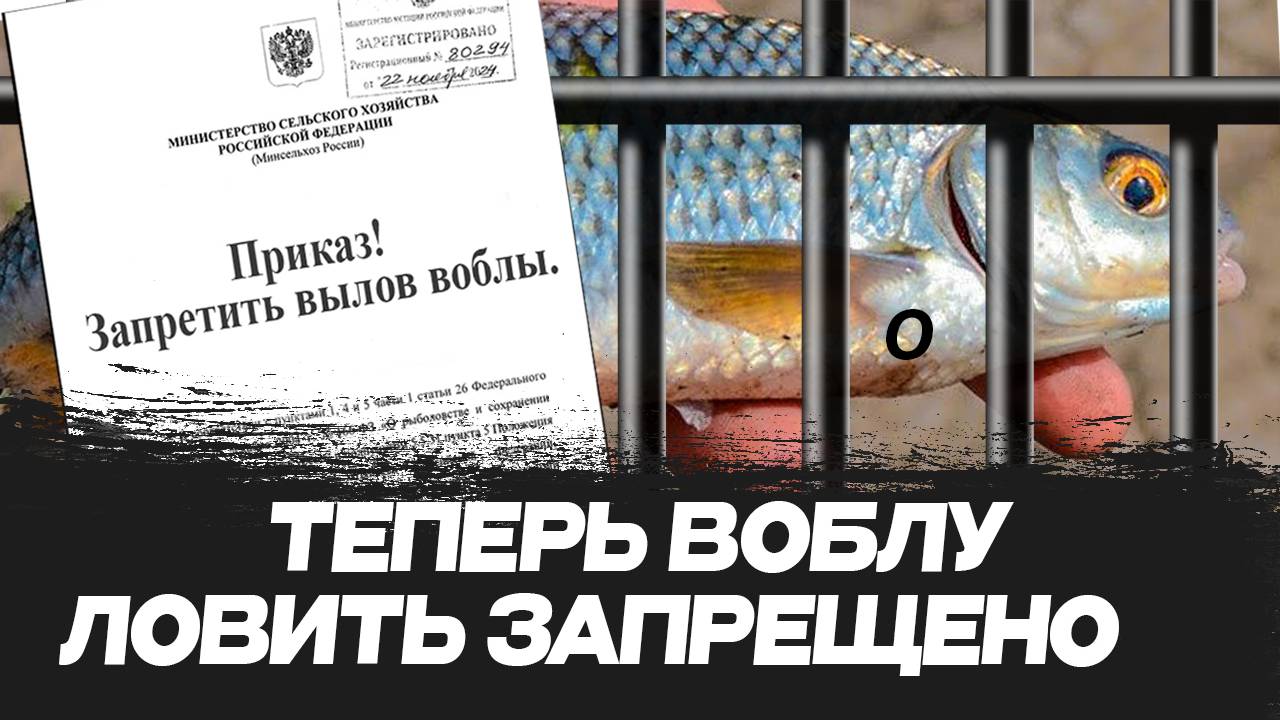 В АСТРАХАНИ ЗАПРЕТИЛИ ЛОВИТЬ ВОБЛУ В 2025 ГОДУ! КАКИЕ ШТРАФЫ И ГДЕ ЕЕ ЛОВИТЬ ЕЩЕ МОЖНО?