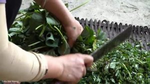 Process of making Smoked Fish to sell at the market - Pet care | Trieu Mai Huong