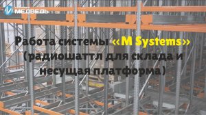 Работа системы «М Systems» (радиошаттл для склада и несущая платформа) #стеллажи