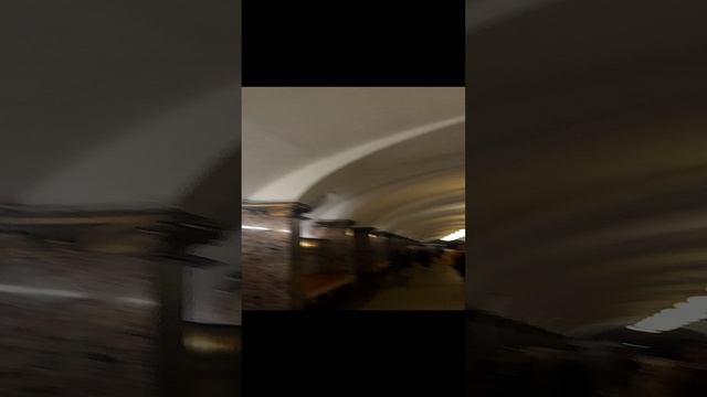 1000029692.mp4Московское метро.14.01.2025г.