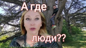 Где все люди? Почему не гуляют?