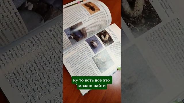 Защита растений в питомнике и в саду - обзор книги от Агрохолдинг Поиск