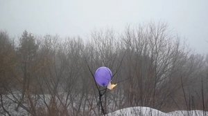 Тороидальный вихрь