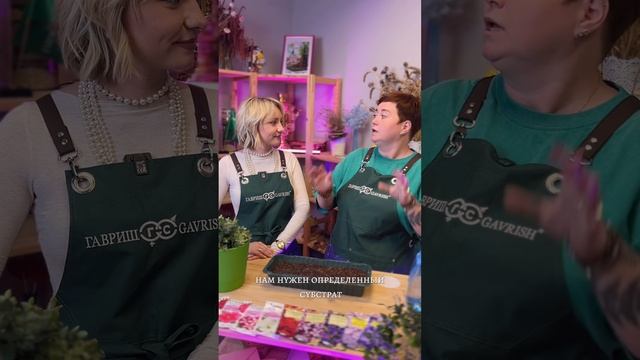 ВРЕМЯ СЕЯТЬ ПЕТУНИИ