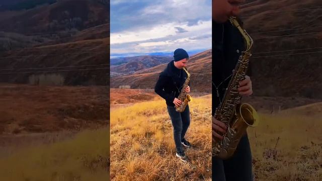 Седьмой лепесток саксофон  kogutsax