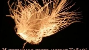 Кистью Творца +