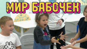 МИР БАБОЧЕК: Экзотические насекомые в начальной школе | Урок биологии с живыми гостями