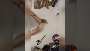 Экоцирк своими руками