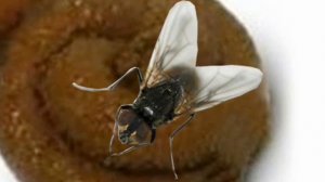 место под солнцем