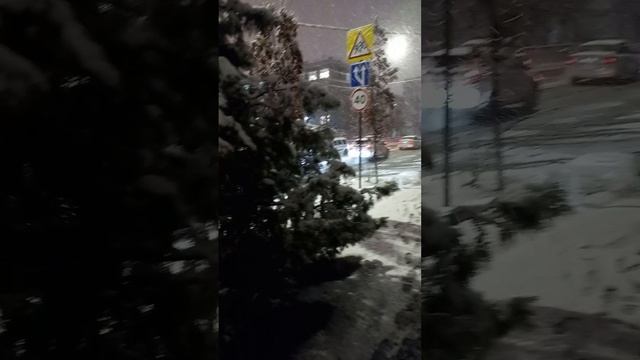 Краснодар - снег на Старый Новый год - 0 °C 🌨️❄️ - 13 января 2025 г.