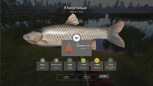 РР4 | Новогодние задания | Этап 7-1