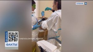 Около 5,7 тыс. птиц пострадали при разливе мазута в Керченском проливе