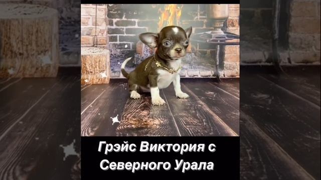 Миниатюрная девочка