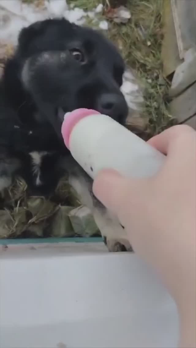 Нене нетак смотреть онлайн