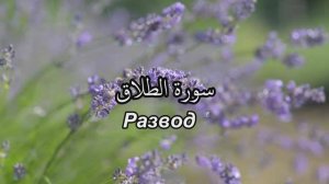 Сура 65. Ат-Таляк/ Развод, со смысловым переводом. Чтец - Имад аль-Мансори