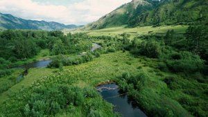 Мыюта КП "Светлый ручей"