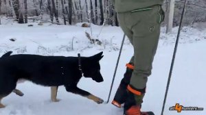 Scarpone da caccia Crispi Highland Pro