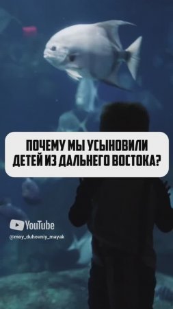 Почему мы усыновили детей из дальнего востока?