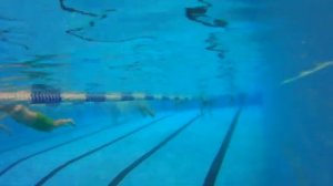 Основы плавания брассом для новичков