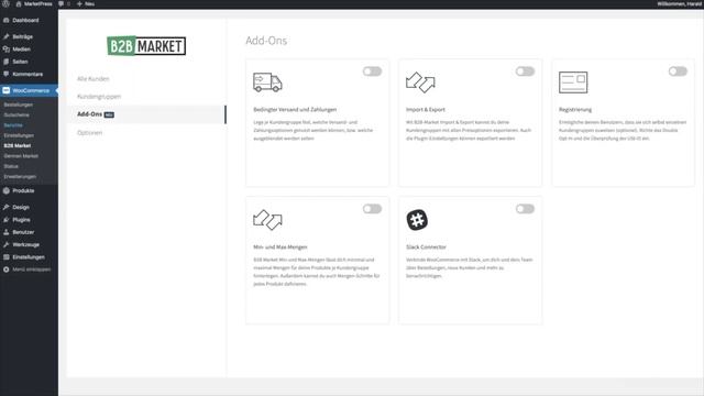 Komplette Video-Tutorials B2B Market 1.03 смотреть онлайн