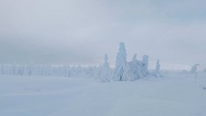 Ледяное безмолвие