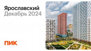 Ярославский 09.12.2024