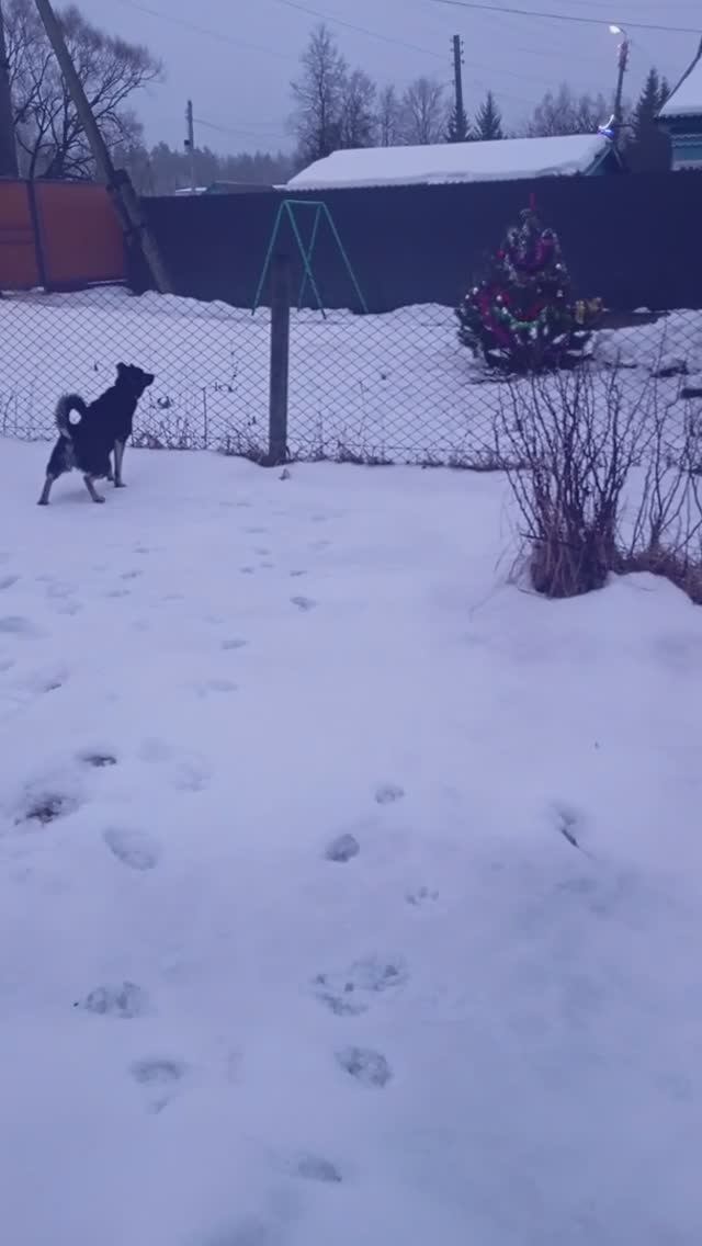 VID_20241227_084731 смотреть онлайн