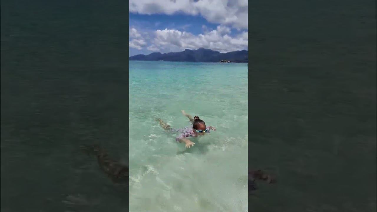 Сверху НОГИ, снизу НОГИ - что за ЗВЕРЬ такой? | Учимся ПЛАВАТЬ с АЛИСОЙ на Сейшелах