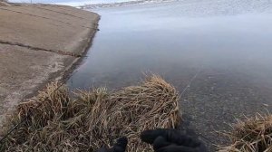 Окушки на донку. Окушки на #большом #водохранилище #Ловля #донкой/#Fishing