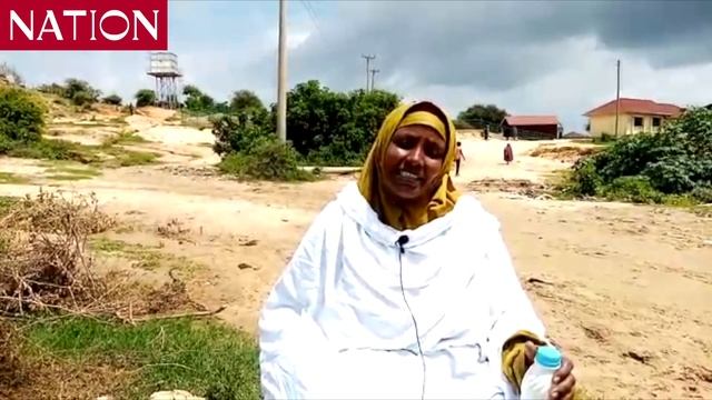 Moyale camel milk dairy society Treasurer on International milk export смотреть онлайн