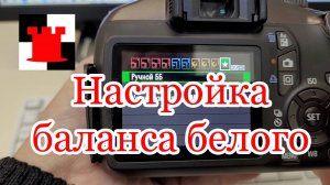 Баланс белого: что это и как настроить в фотоаппарате?