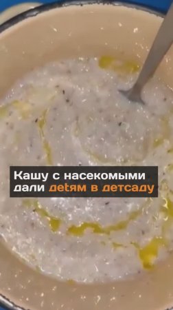 Кашу с насекомыми дали дetям в дeтcaдy