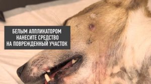 Freezpen: Лечение бородавок у животных